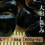 しじみ Lサイズ 4kg（500g×8） | 【りすたむmatsue】オンラインショップ